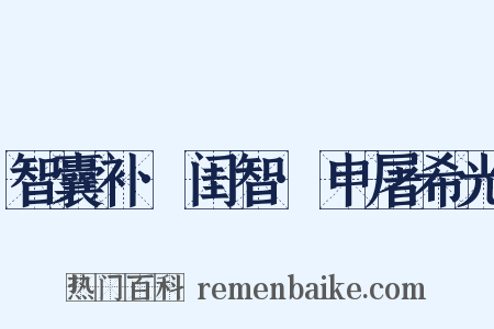 智囊补·闺智·申屠希光是什么意思的图片